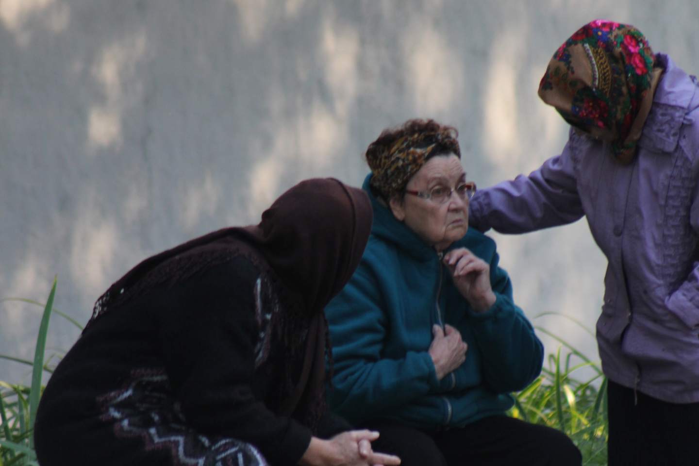Новости Казахстана / Общество в Казахстане / В ВКО больше всего Домов престарелых, в них проживают около 3 тысяч человек