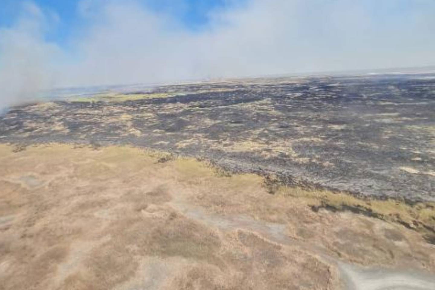 Происшествия в Казахстане и мире / Шесть тысяч гектаров камыша сгорело в Алматинской области