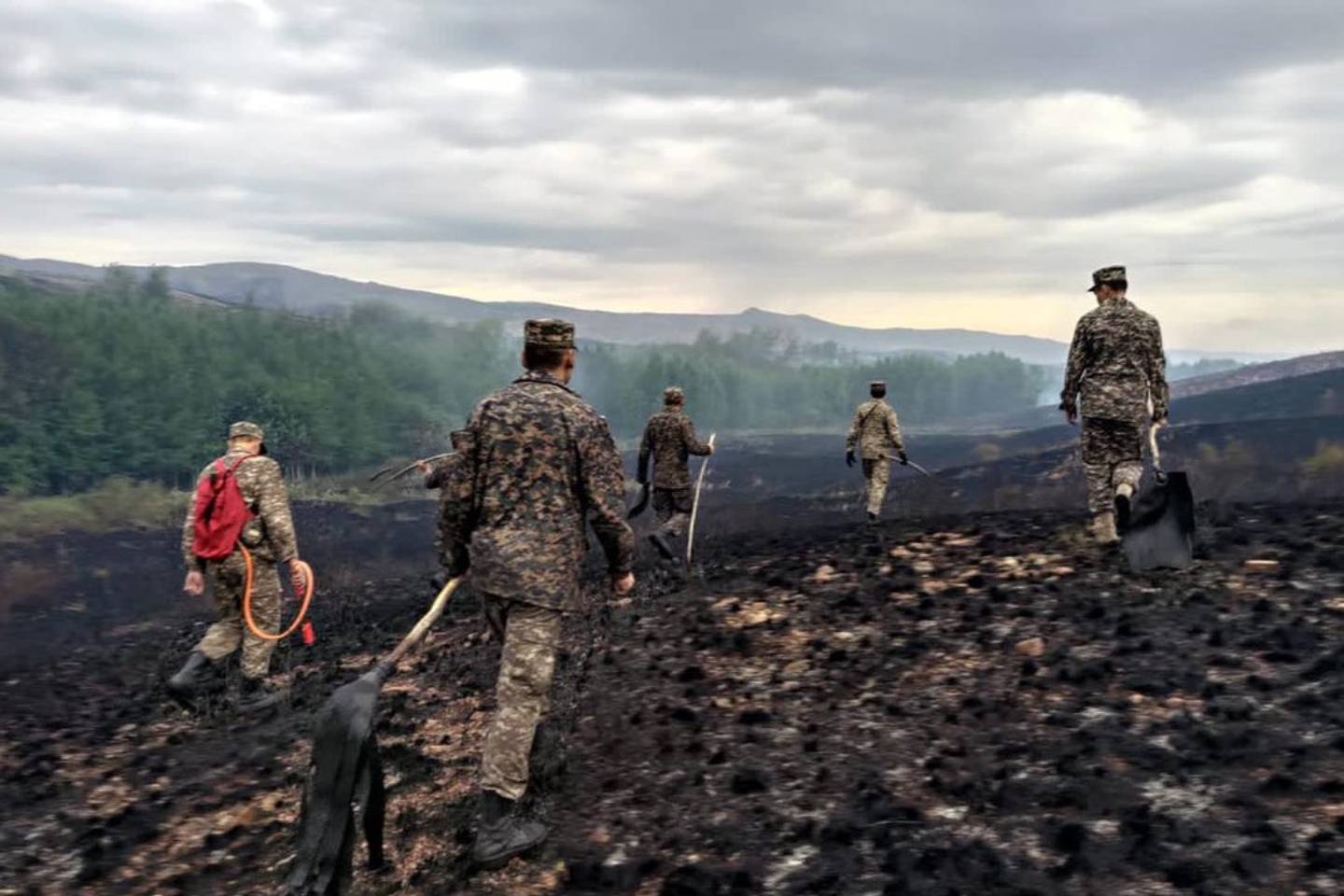 Происшествия в Казахстане и мире / Лесные пожары в Карагандинской области не могут потушить уже больше недели
