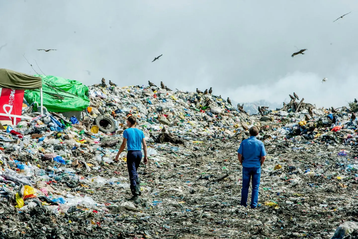 Усть-Каменогорск и ВКО / Штраф два млн тенге: экологи ВКО проверили полигон ТБО в Шемонаихе