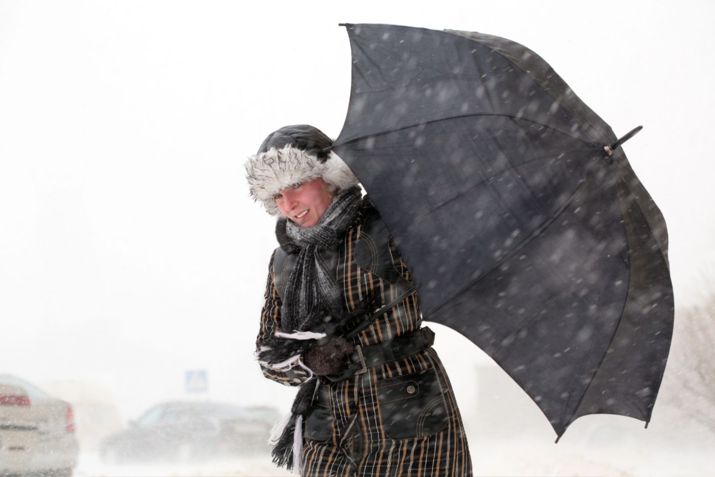 Усть-Каменогорск и ВКО / Штормовое предупреждение объявили в ВКО Усть-Каменогорск и ВКО / Штормовое предупреждение объявили в ВКО