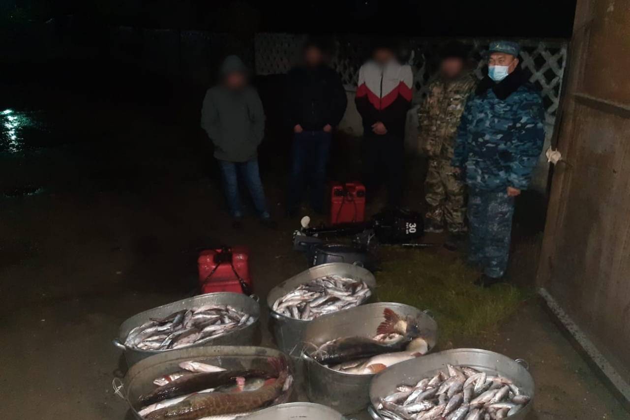 Происшествия в Казахстане и мире / Рыбаков, с двумя центнерами выловленной рыбы, задержали правоохранители в ВКО