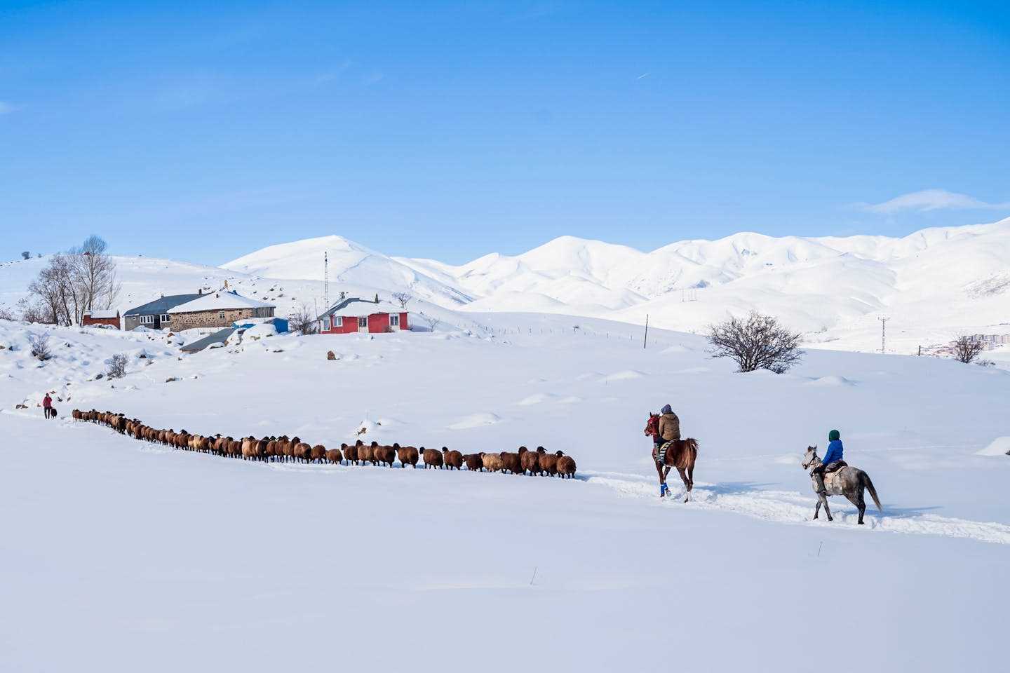 Новости Казахстана / Общество в Казахстане / В Казахстане расширят социальную поддержку работников сельского хозяйства