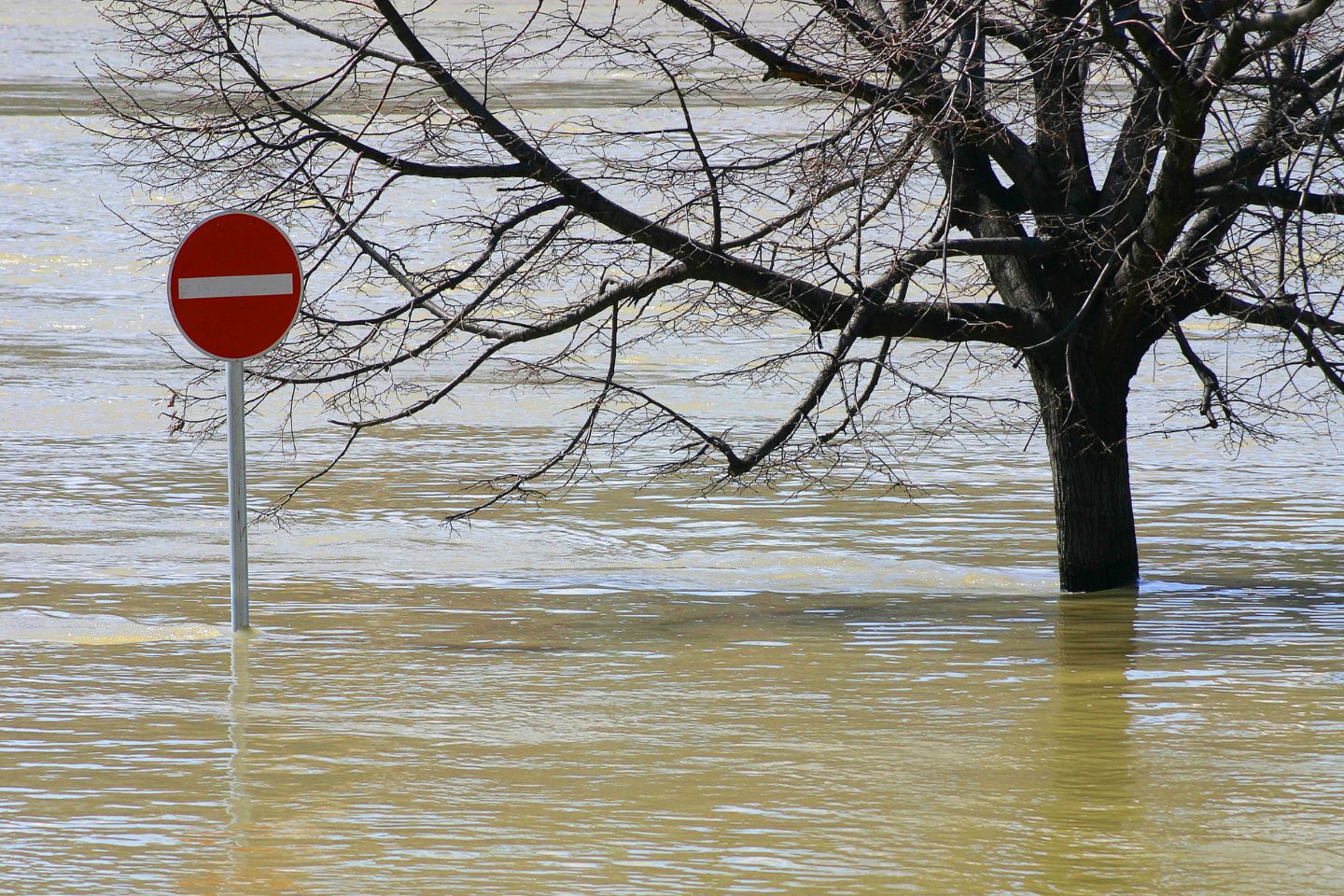 Новости мира / Наводнение в Техасе унесло 50 жизней, ищут 27 детей из лагеря Новости мира / Наводнение в Техасе унесло 50 жизней, ищут 27 детей из лагеря