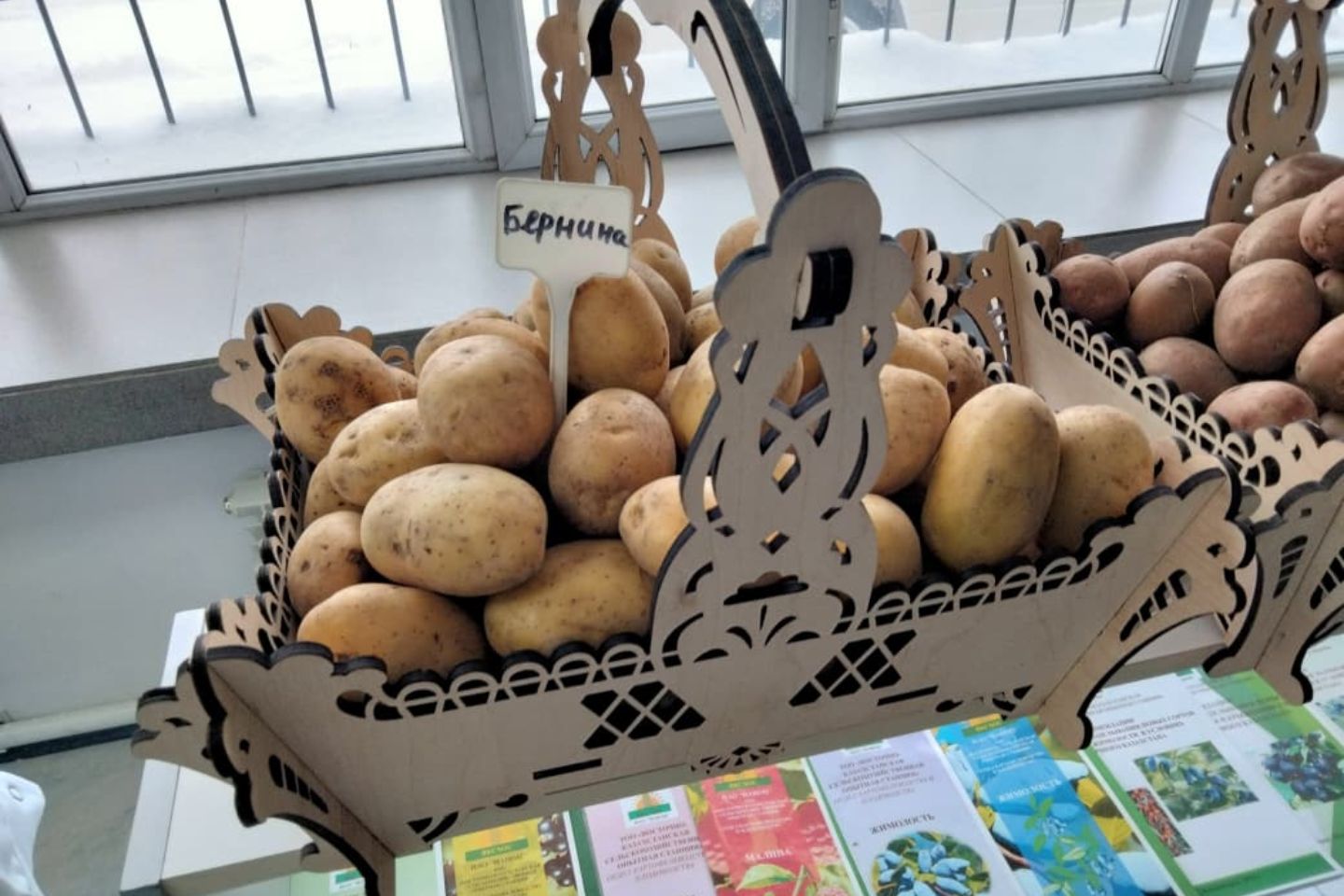 Происшествия в Казахстане и мире / ЧП в Казахстане и в мире / В жутком пожаре в Сенегале погибли 22 паломника