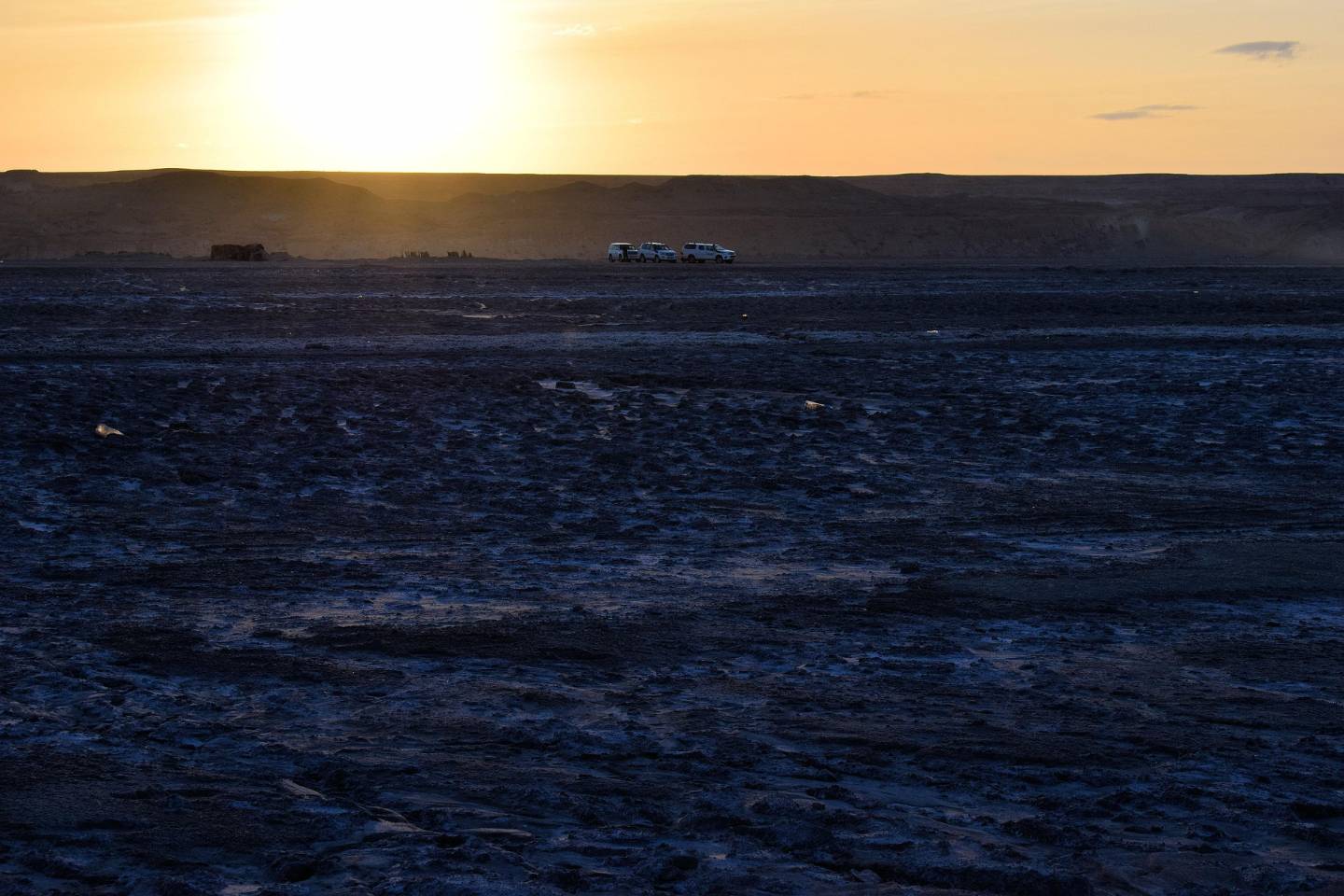 Новости Казахстана / Общество в Казахстане / Что стало с осушенными участками дна Аральского моря