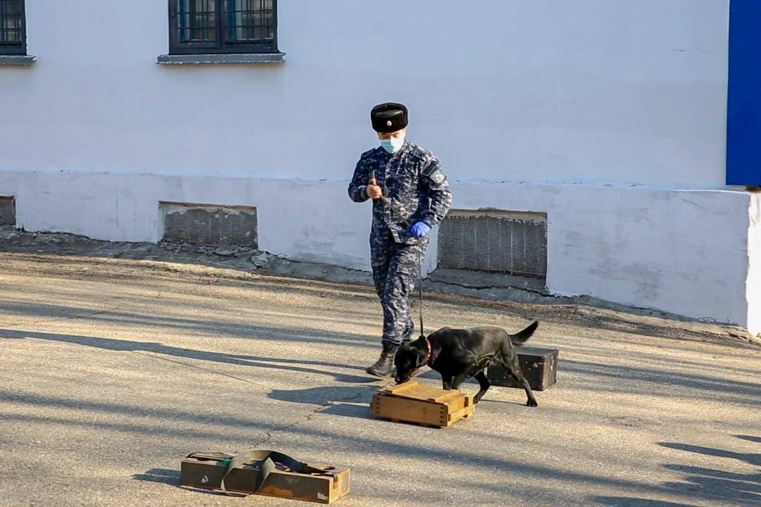 Новости Казахстана / Общество в Казахстане / Полицейские ВКО показали детям, как служебные собаки ищут наркотики и взрывчатку