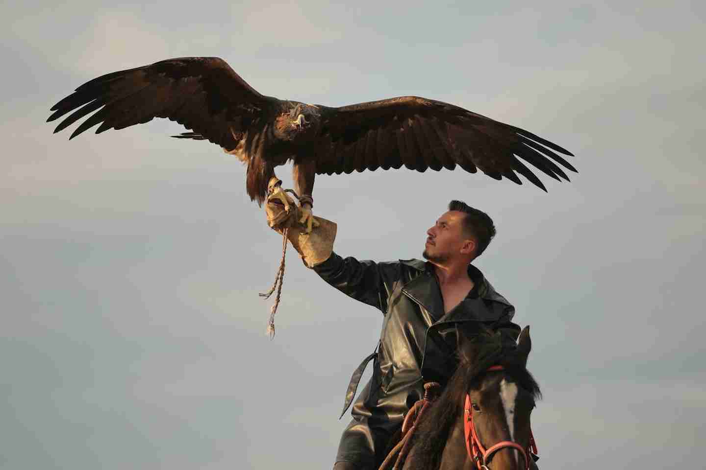 Новости Казахстана / Общество в Казахстане / В Карагандинской области состоялся охотничий чемпионат