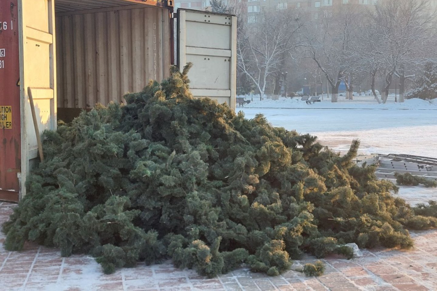 Усть-Каменогорск и ВКО / Штраф 20 МРП: Выброшенная елка может обойтись казахстанцам очень дорого