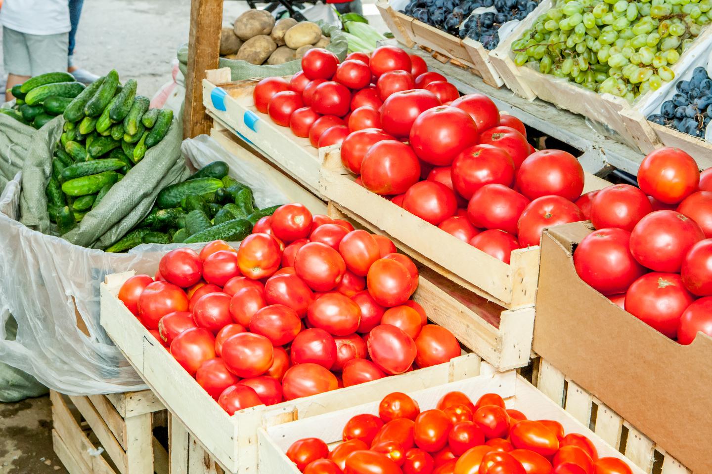 Усть-Каменогорск и ВКО / Өскеменнің бірнеше ауданында ауылшаруашылық жәрмеңкесі ұйымдастырылады Усть-Каменогорск и ВКО / Өскеменнің бірнеше ауданында ауылшаруашылық жәрмеңкесі ұйымдастырылады