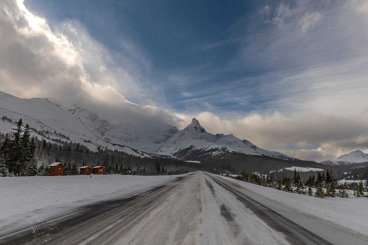 Новости Казахстана / Общество в Казахстане / В Костанайской области на трассе застрял грузовик с лошадьми