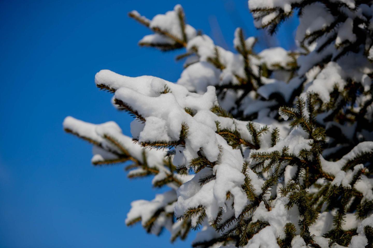 Усть-Каменогорск и ВКО / Ертең ШҚО-да қар жауып, бұрқасын соғады