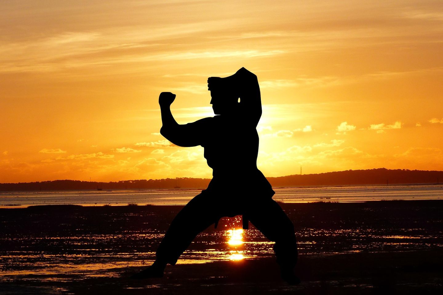 Усть-Каменогорск и ВКО / Усть-Каменогорск / Чемпионат ВКО по киокушинкай-кан каратэ состоится в Усть-Каменогорске