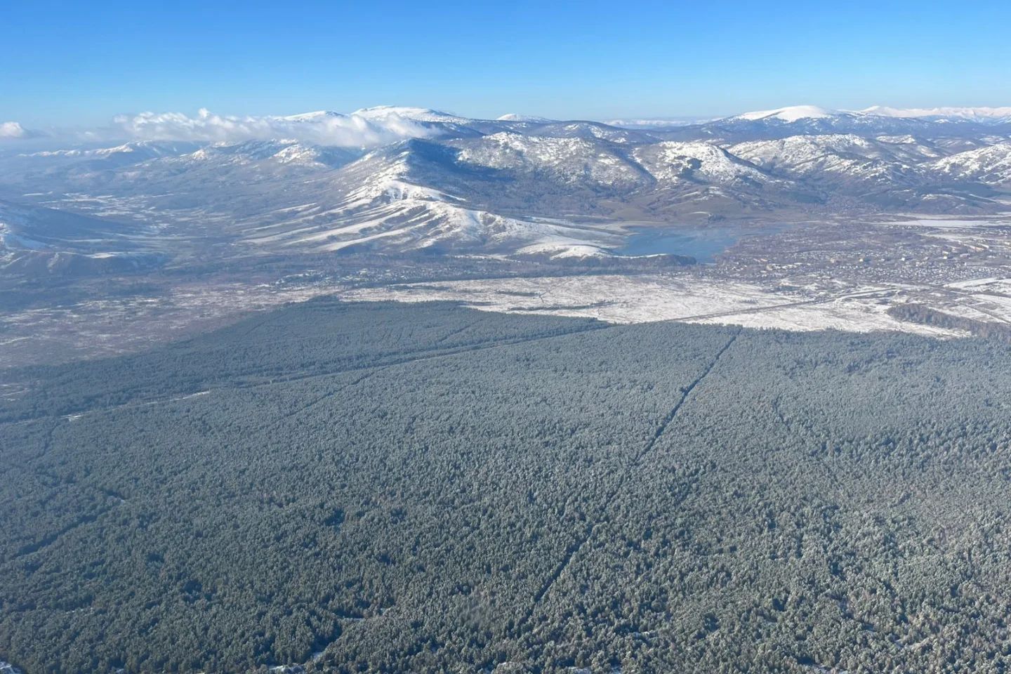 Усть-Каменогорск и ВКО / В ВКО обнаружили незаконную вырубку деревьев Усть-Каменогорск и ВКО / В ВКО обнаружили незаконную вырубку деревьев