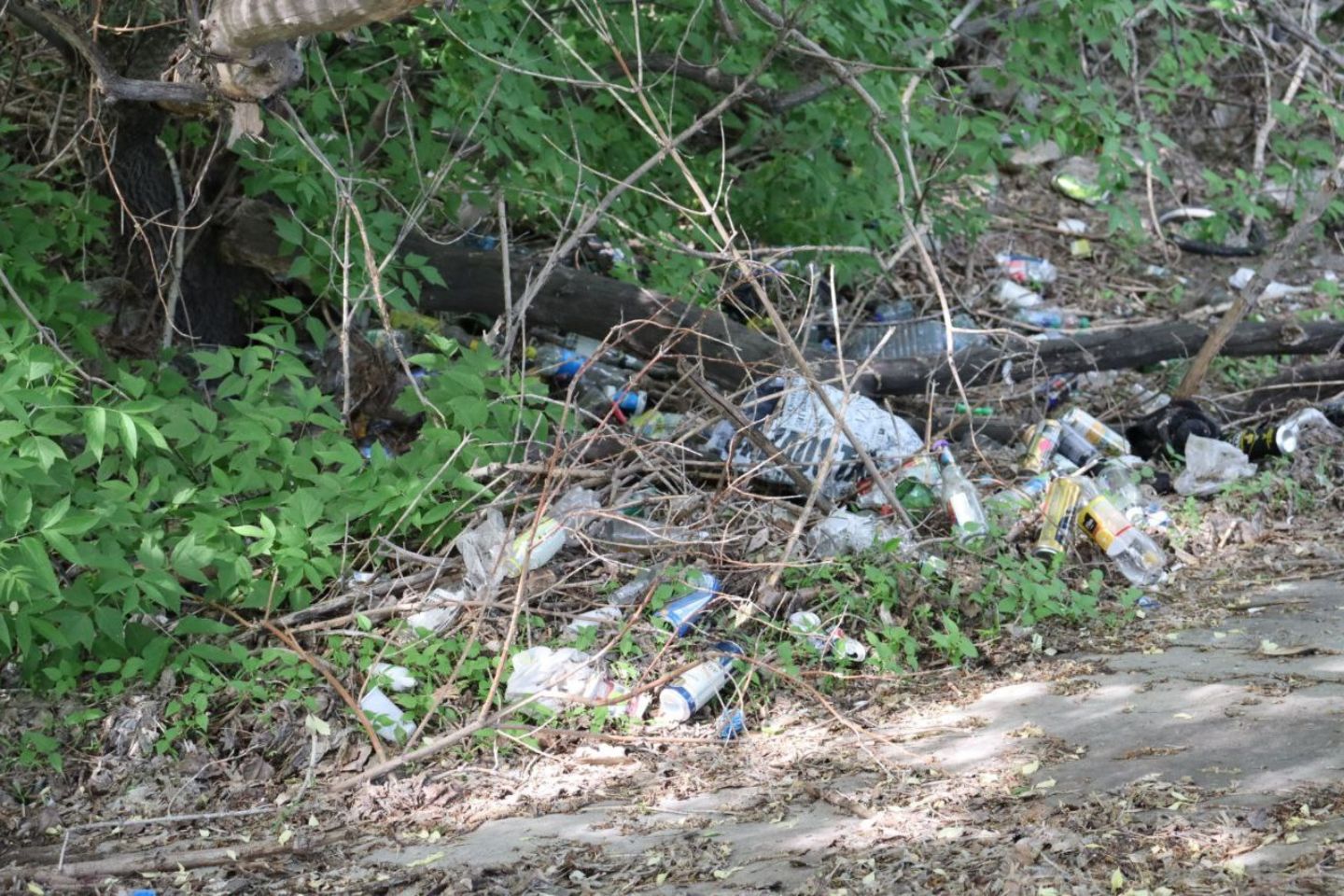 Усть-Каменогорск и ВКО / Усть-Каменогорск / С 4 апреля в Усть-Каменогорске стартуют общегородские субботники Усть-Каменогорск и ВКО / Усть-Каменогорск / С 4 апреля в Усть-Каменогорске стартуют общегородские субботники