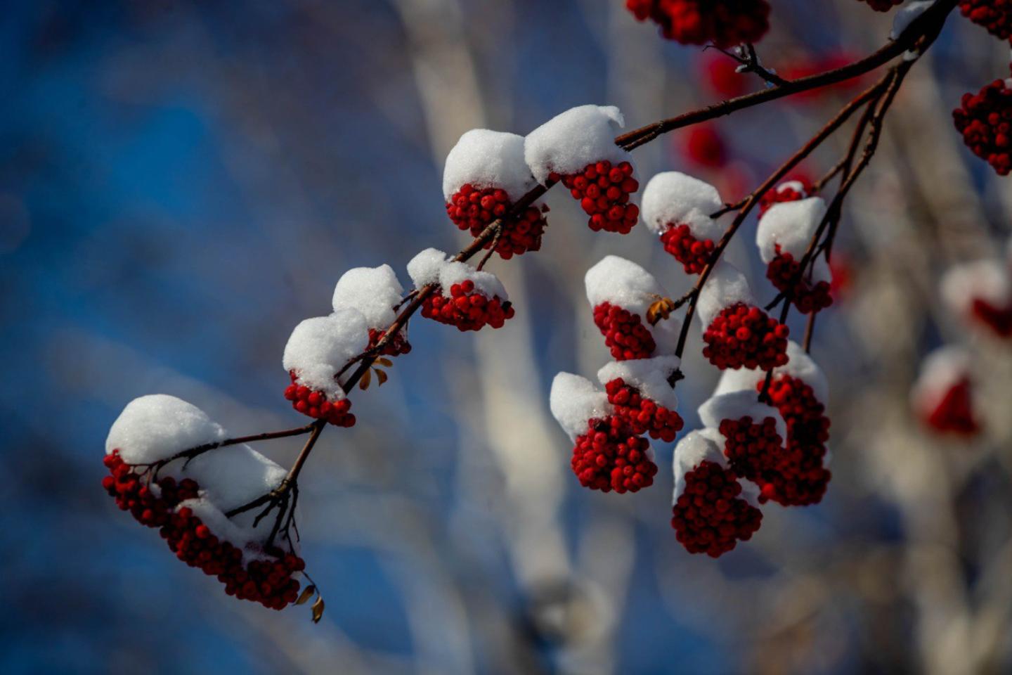 Усть-Каменогорск и ВКО / Ертең ШҚО-да қалың қар жауып, бұрқасын соғады