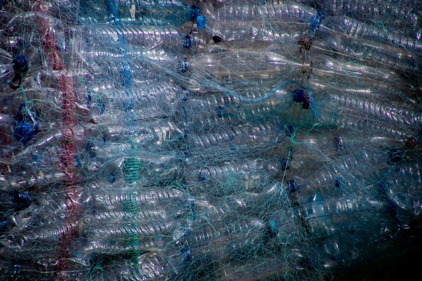Новости мира / Мировая экономика / Coca-Cola перестанет красить пластиковые бутылки