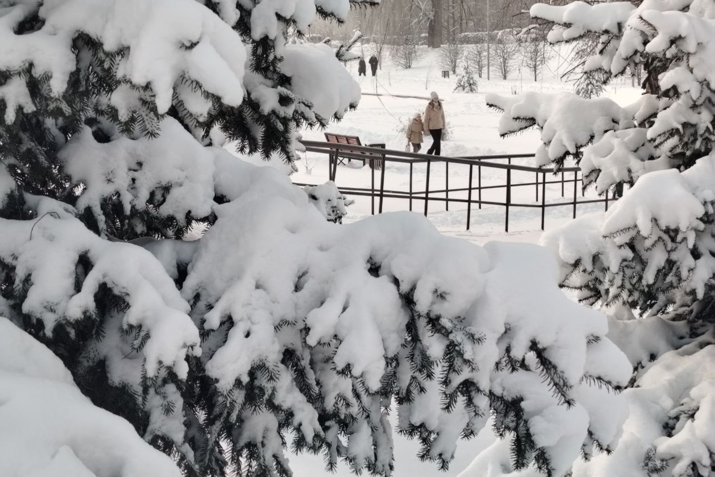 Усть-Каменогорск и ВКО / ШҚО-да ертең қар жауып, бұрқасын соғады Усть-Каменогорск и ВКО / ШҚО-да ертең қар жауып, бұрқасын соғады
