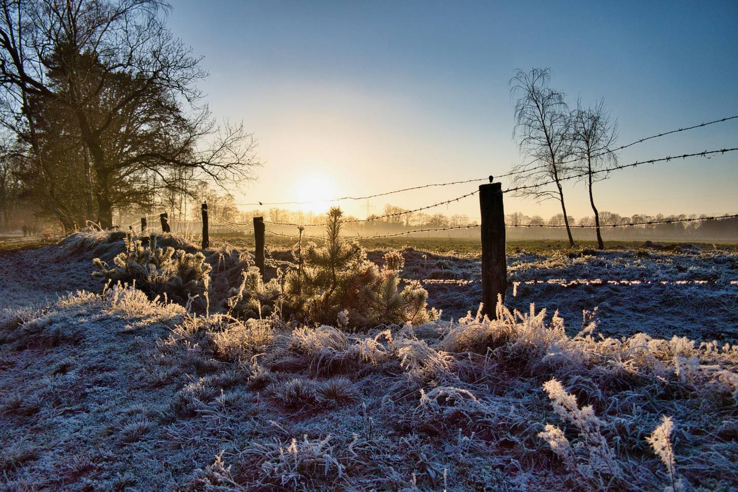 Новости мира / Интересные новости / 21 декабря: сегодня в истории