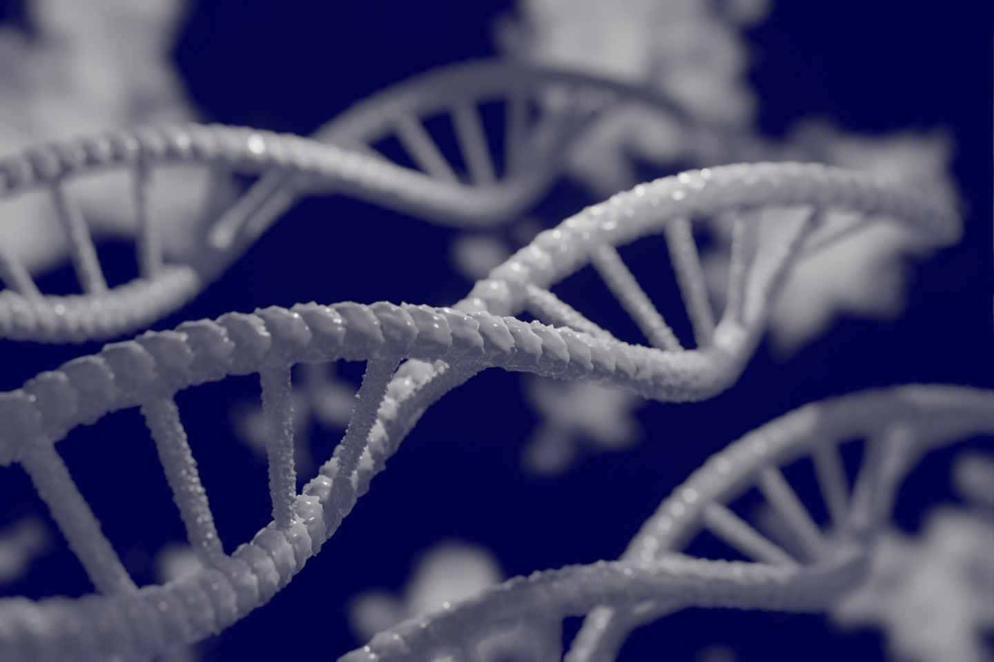 Новости мира / Интересные новости / Ученые обнаружили отвечающий за чувствительность к боли ген