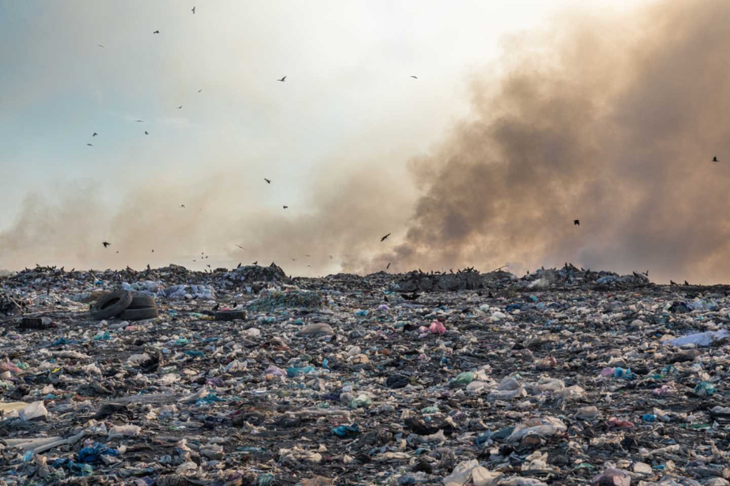 Новости Казахстана / Общество в Казахстане / В Кокшетау горит мусорный полигон