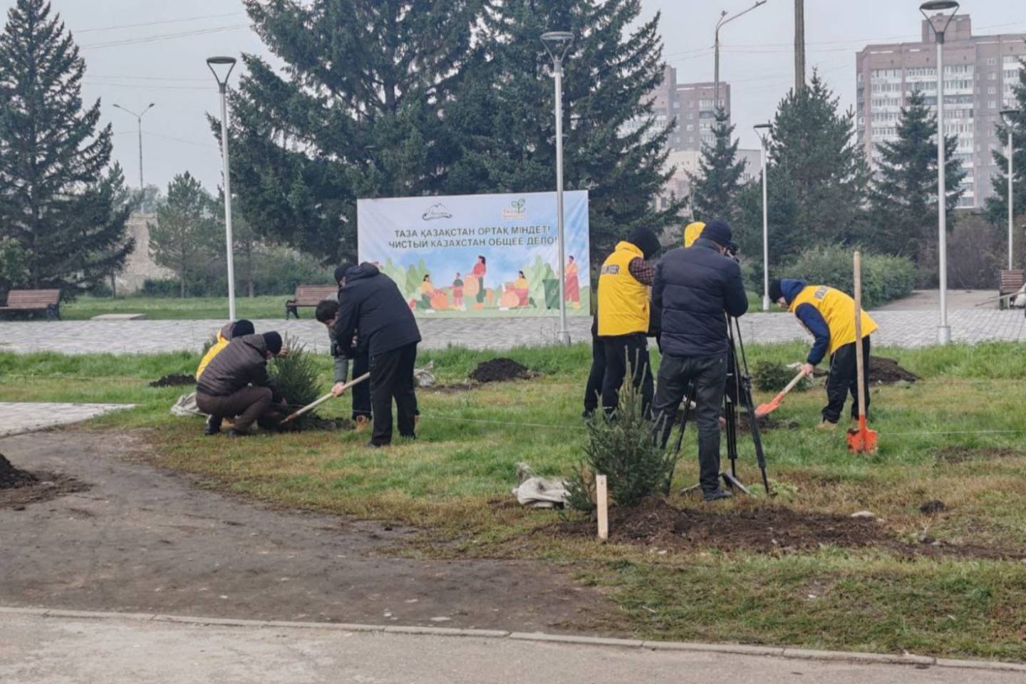 Усть-Каменогорск и ВКО / Сотню деревьев высадили на территории Амфитеатра в Усть-Каменогорске