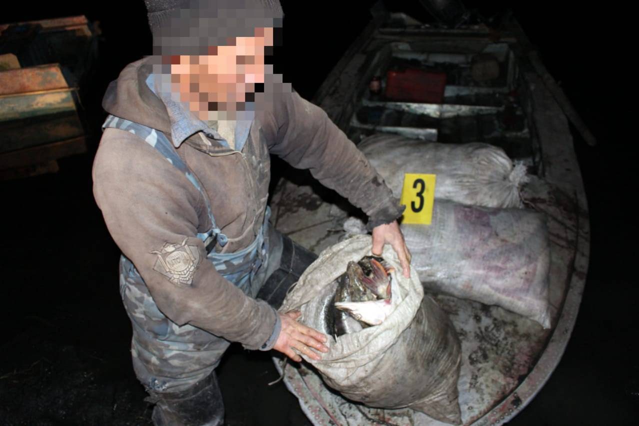 Происшествия в Казахстане и мире / Сотрудники полиции изъяли около 100 кг рыбы в ВКО
