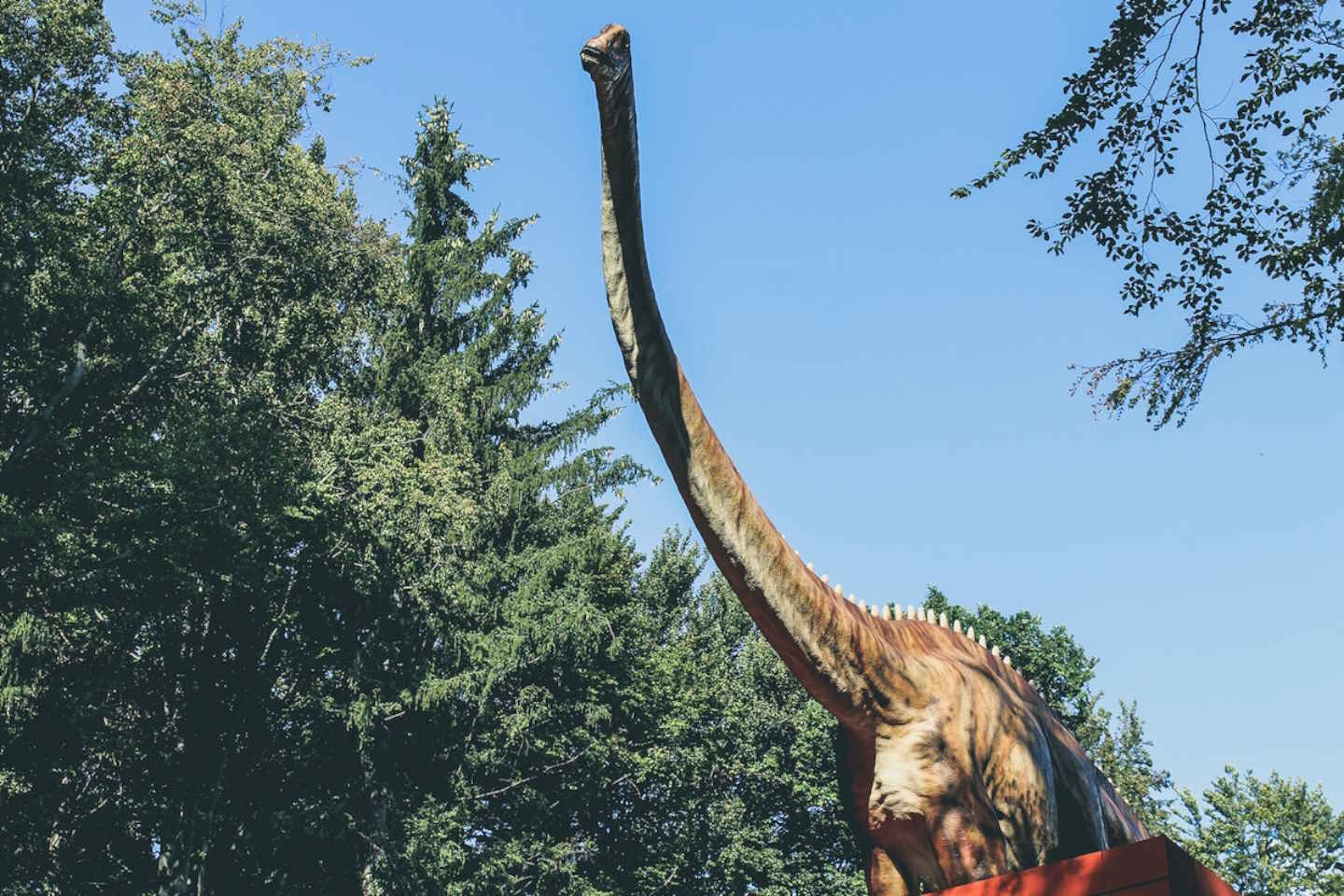 Новости мира / Интересные новости / В Испании нашли кости неизвестного науке динозавра