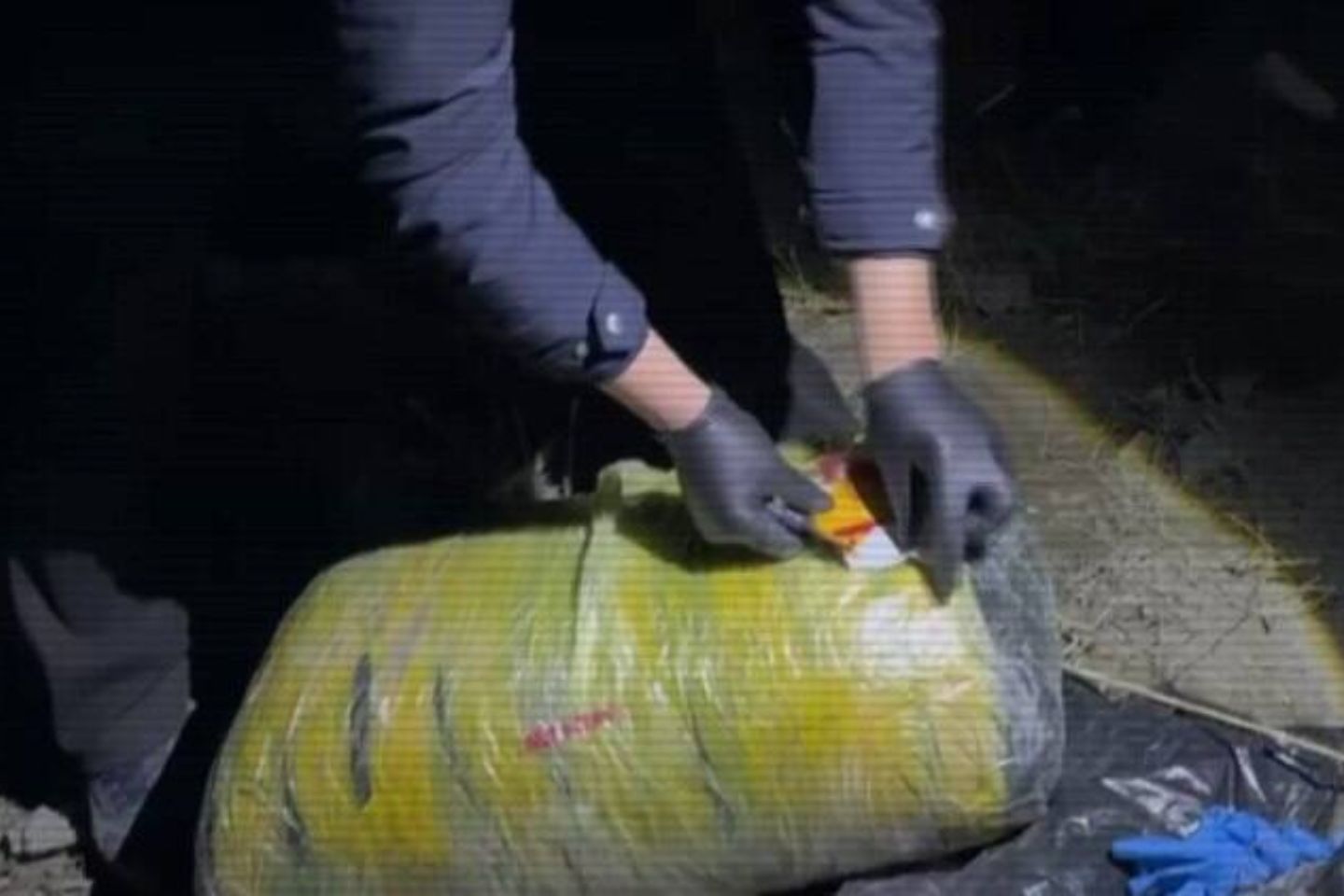 Новости Казахстана / В области Улытау изъяли 300 кг марихуаны: задержаны пять человек