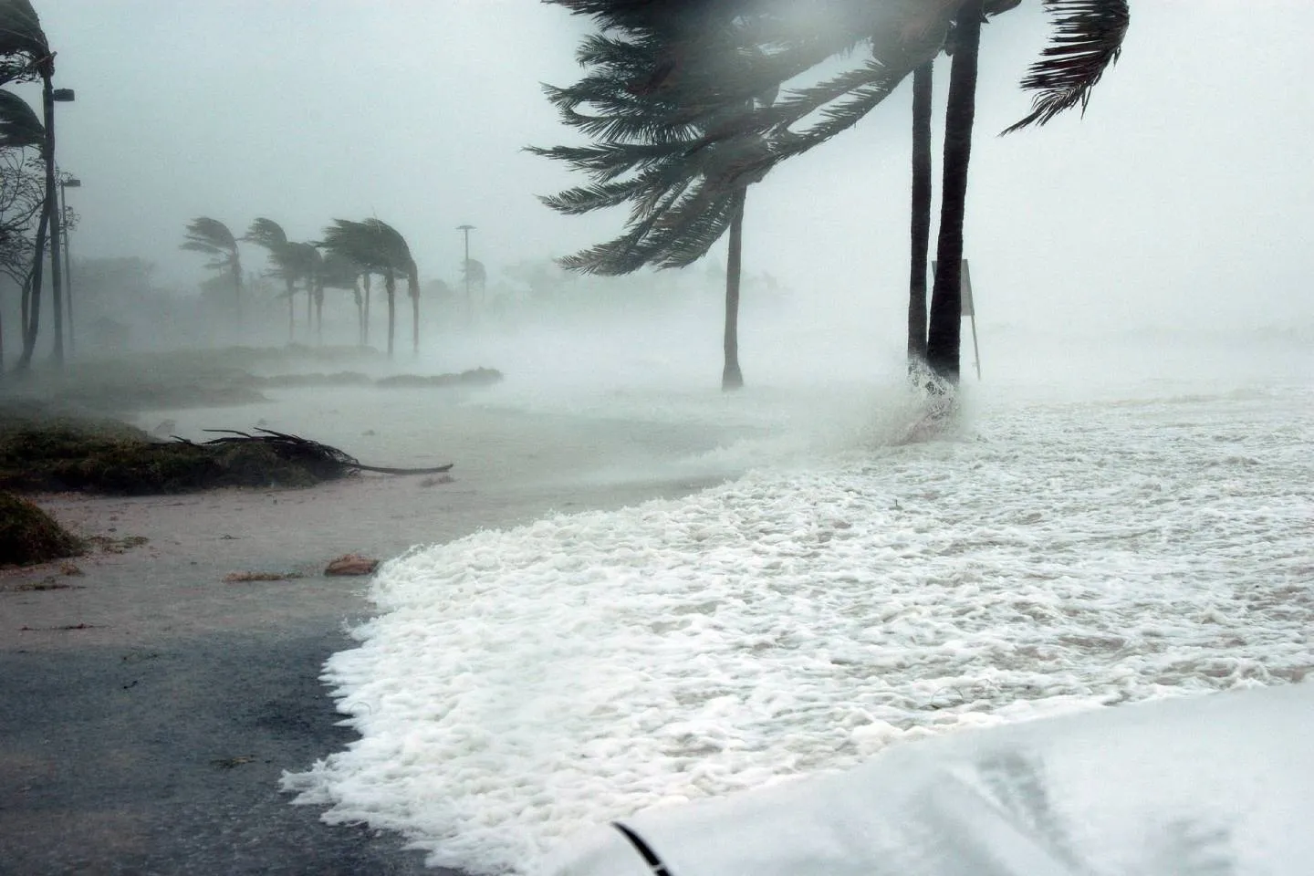 Новости мира / Интересные новости / Из-за урагана жителям трех округов Флориды придется эвакуироваться