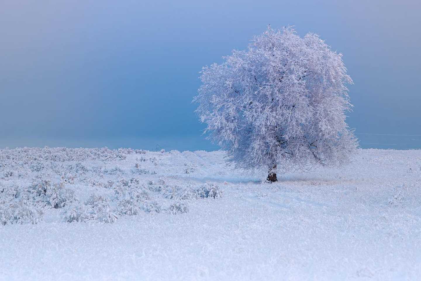 Новости Казахстана / Какая погода ожидает казахстанцев в ближайшие дни Новости Казахстана / Какая погода ожидает казахстанцев в ближайшие дни