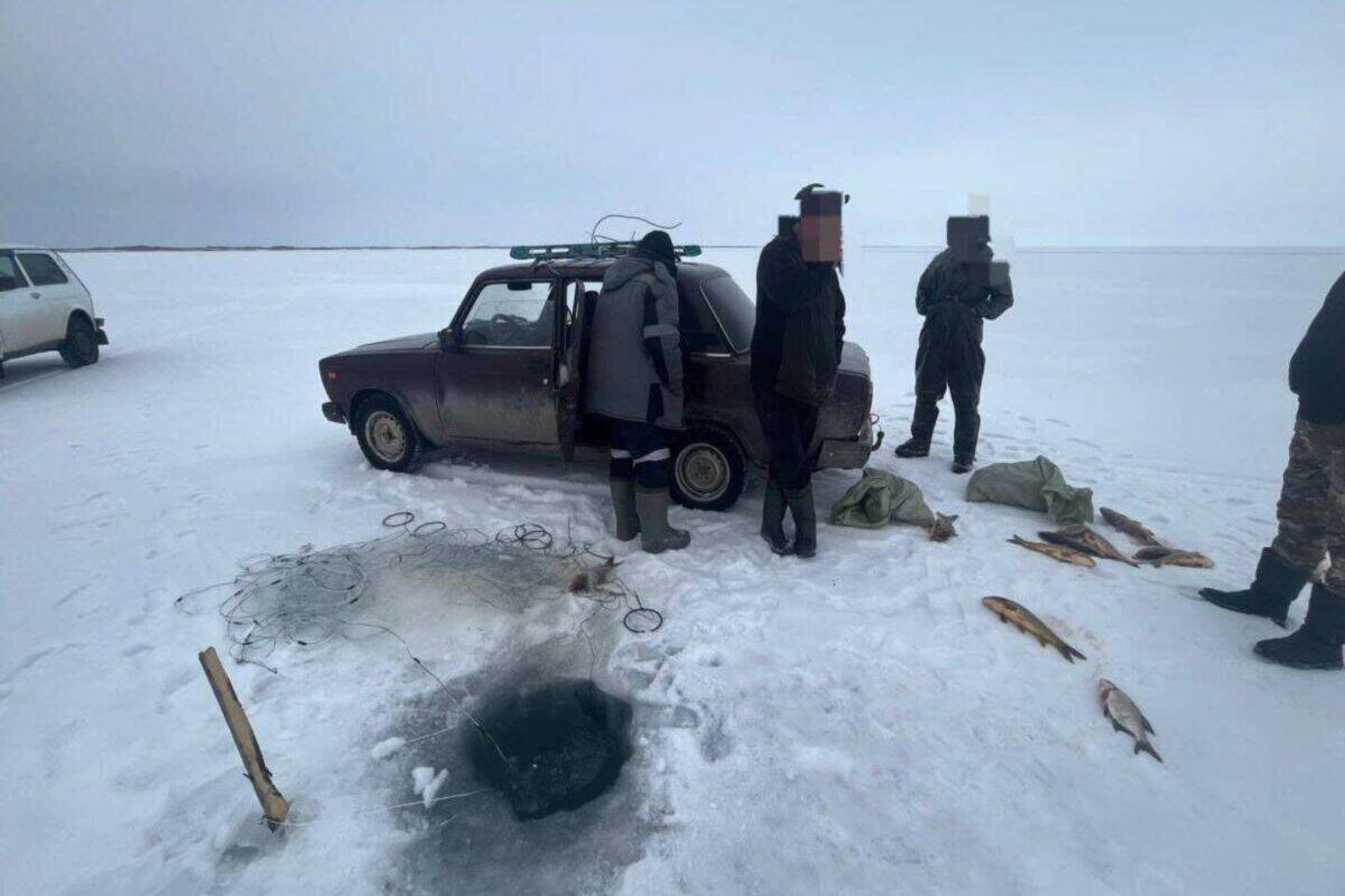 Происшествия в Казахстане и мире / Криминальные новости / Рыбу на миллион тенге наловили браконьеры на озере Балхаш