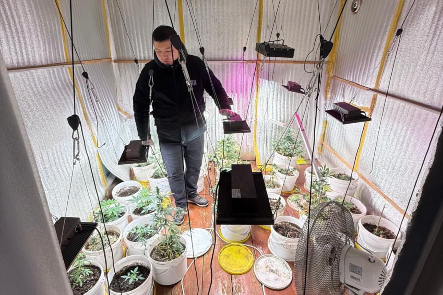 Усть-Каменогорск и ВКО / У жителя ВКО изъяли 1,5 кг наркотиков Усть-Каменогорск и ВКО / У жителя ВКО изъяли 1,5 кг наркотиков