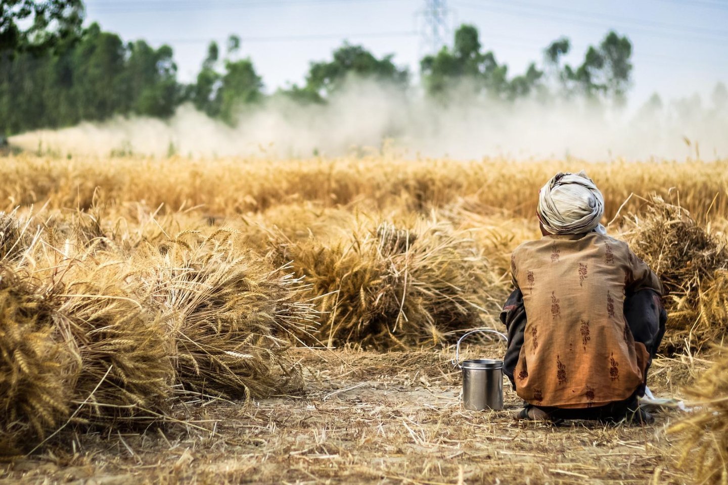 Новости мира / Мировая экономика / Индия ограничит экспорт продуктов из пшеницы