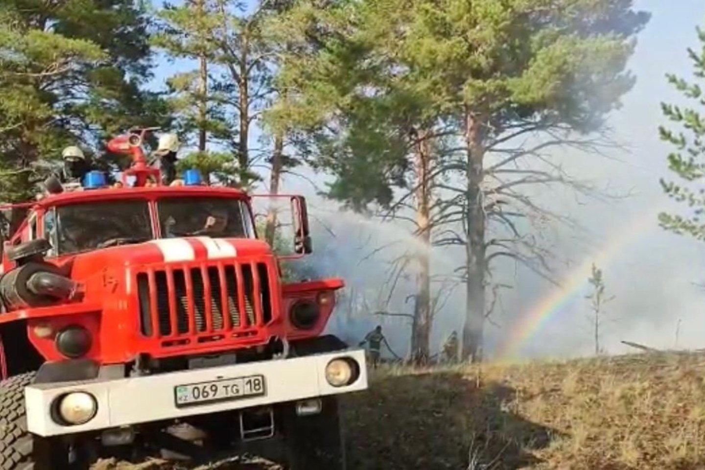 Происшествия в Казахстане и мире / Лесной пожар в Абайской области: об обстановке рассказали в МЧС РК