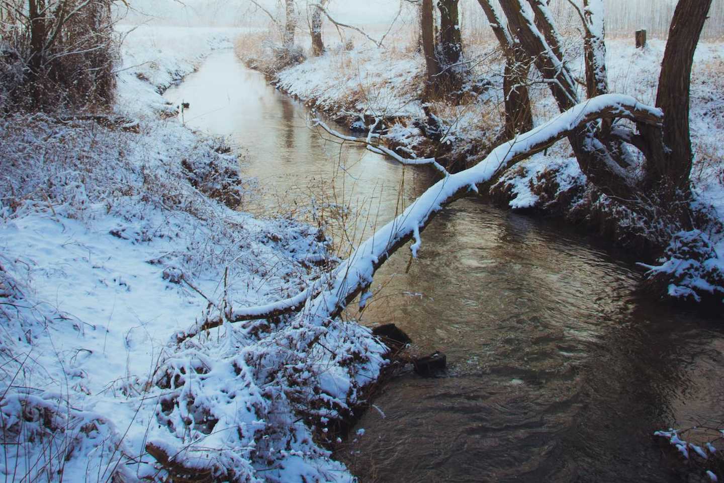 Новости Казахстана / Общество в Казахстане / Специальная группа МЧС для борьбы с паводками будет работать в Казахстане