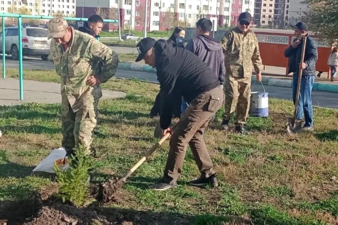 Усть-Каменогорск и ВКО / В ВКО в минувшие выходные работники лесного хозяйства высадили почти тысячу деревьев