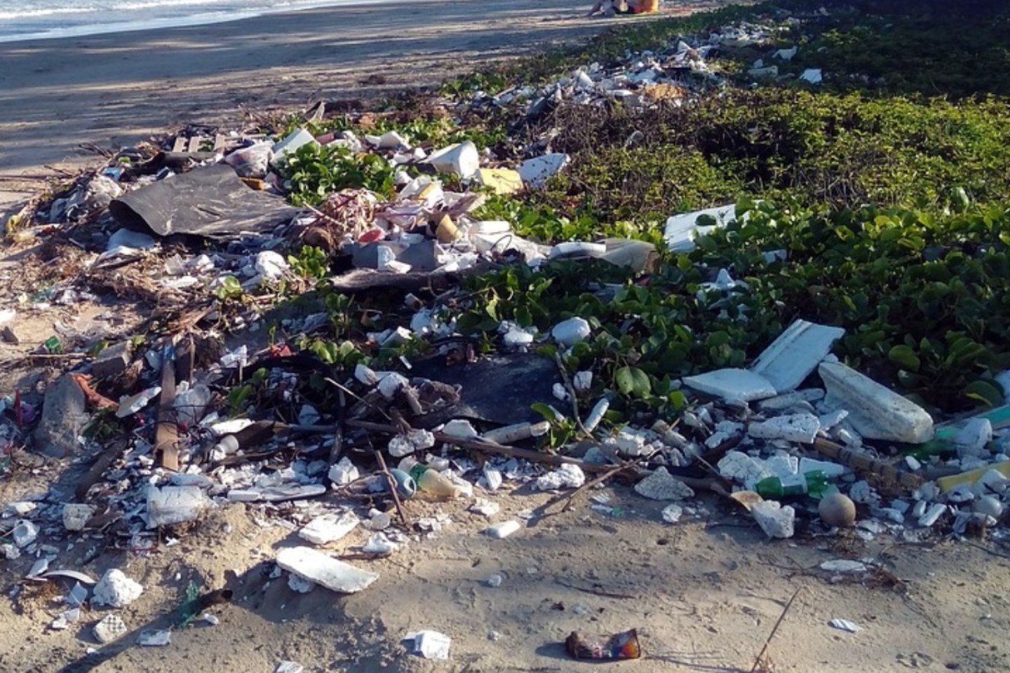 Происшествия в Казахстане и мире / За мусор на пляже на берегу Иртыша наказали владельца в Павлодарской области