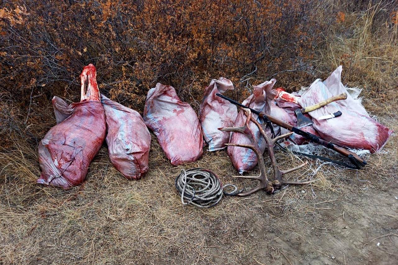 Усть-Каменогорск и ВКО / Правоохранители задержали браконьеров в ВКО