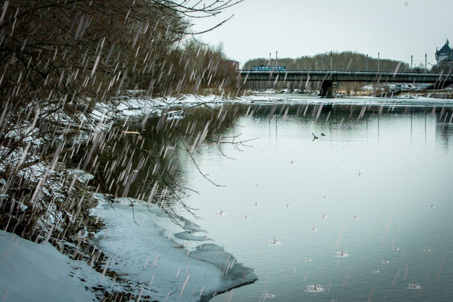 Усть-Каменогорск и ВКО / Уровень воды в реках ВКО приближается к критическим отметкам