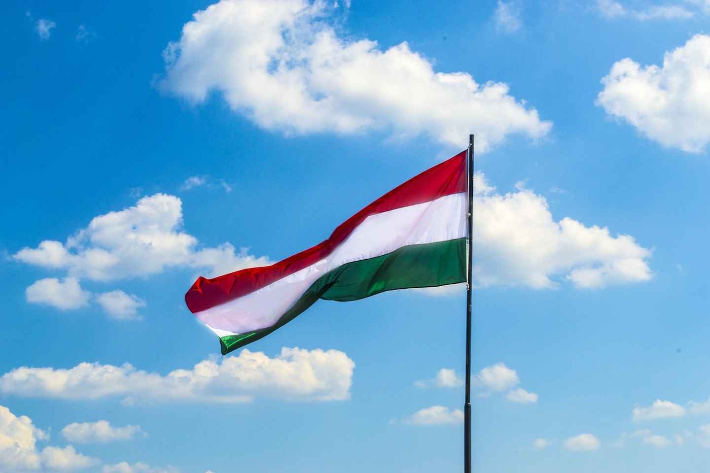 Новости мира / Политика в мире / Венгрия объявила о выходе из МУС Новости мира / Политика в мире / Венгрия объявила о выходе из МУС