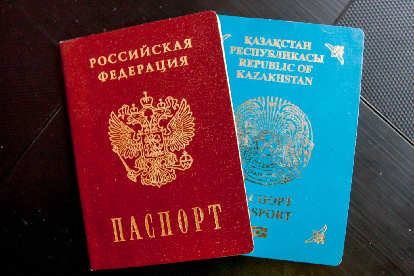 Новости Казахстана / Общество в Казахстане / Около тысячи россиян за три месяца обратилось за видом на жительство в РК