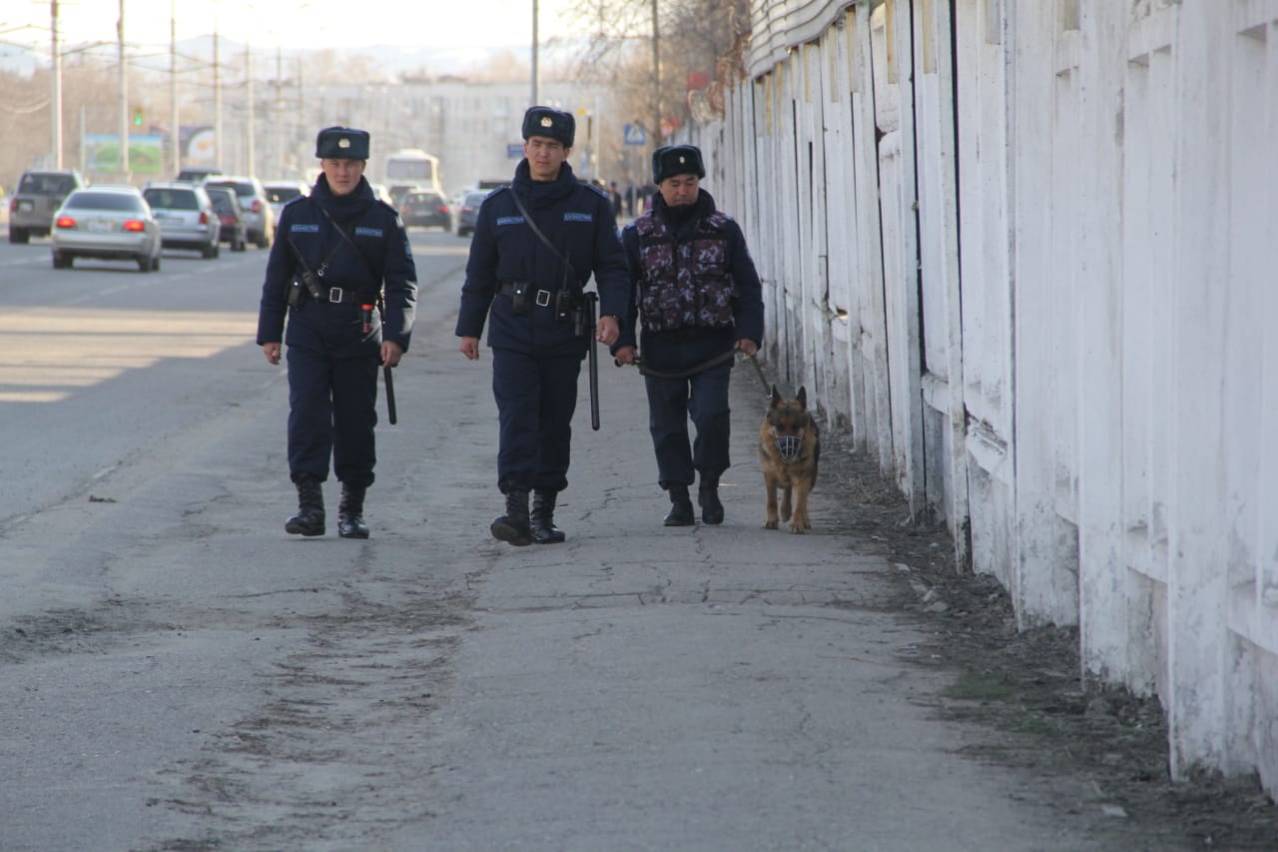Происшествия в Казахстане и мире / Служебная собака помогла задержать грабителя в Усть-Каменогорске
