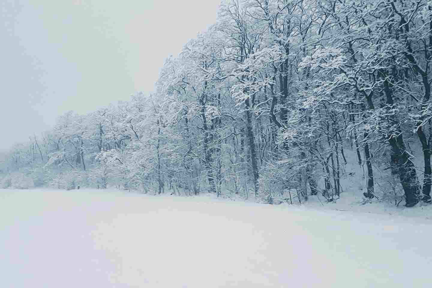 Новости Казахстана / Какая погода ожидает казахстанцев в эти выходные Новости Казахстана / Какая погода ожидает казахстанцев в эти выходные