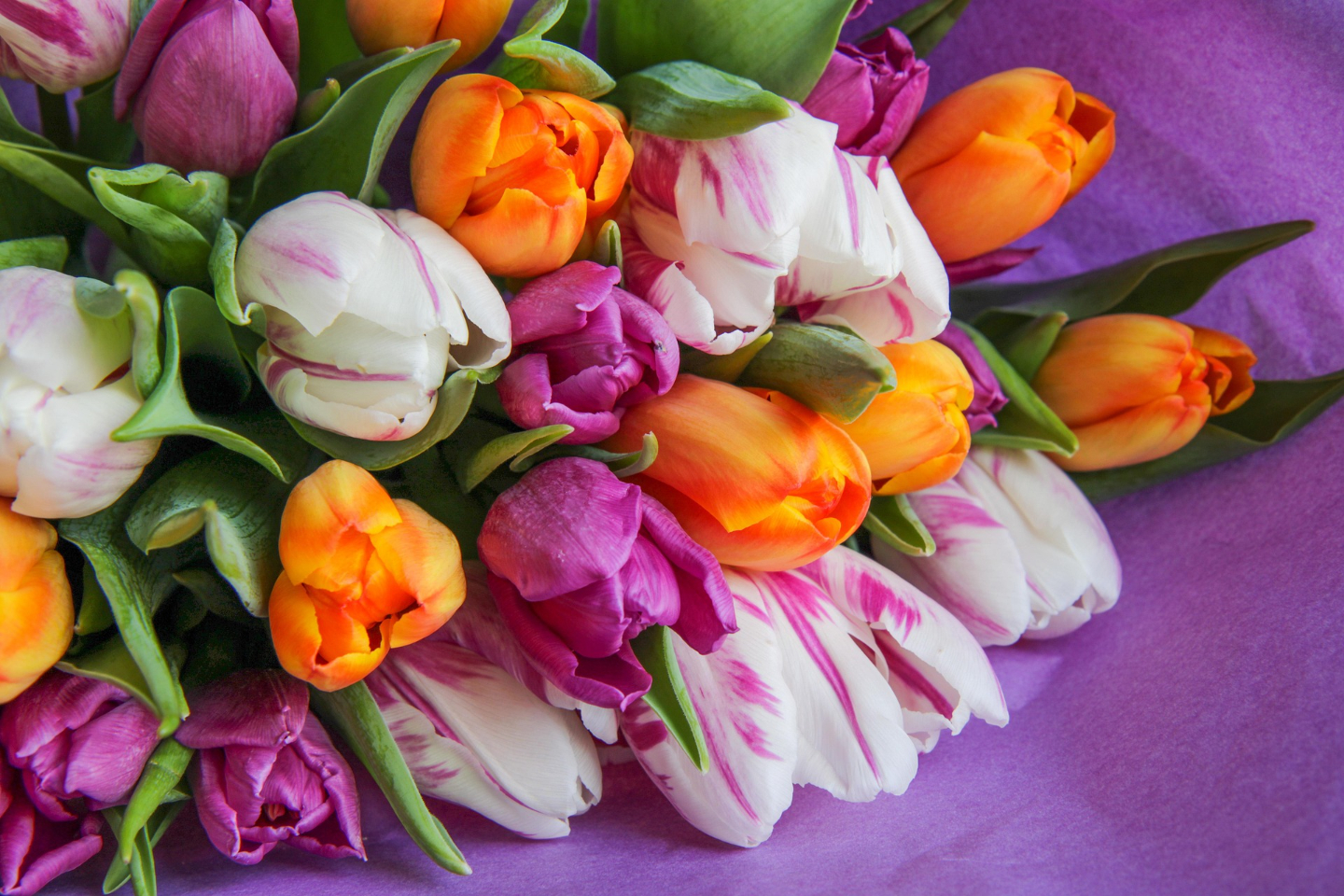 Усть-Каменогорск и ВКО / Охота перед праздниками: мошенники активизировались в ВКО