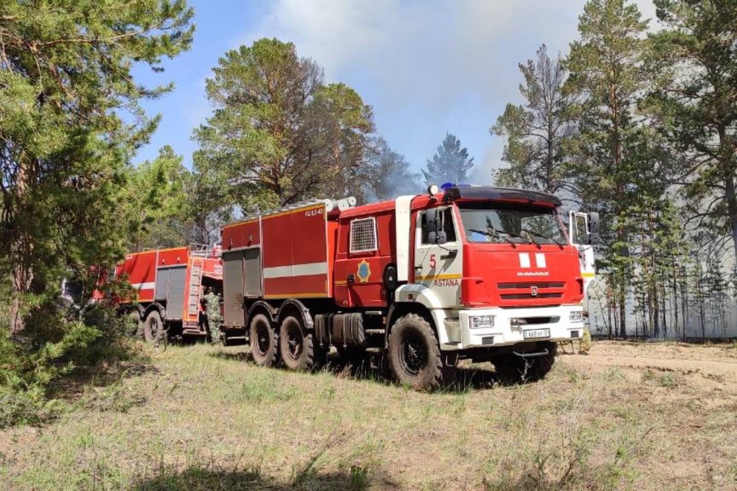Происшествия в Казахстане и мире / 3,5 тысячи гектаров леса сгорели в пожарах в Абайской области
