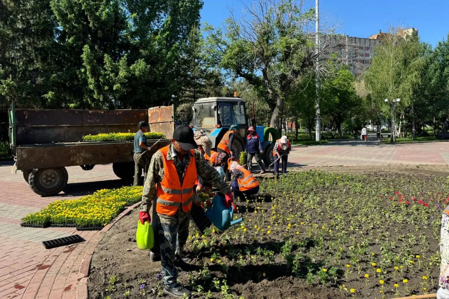 Усть-Каменогорск и ВКО / Усть-Каменогорск / На цветочное оформление улиц Усть-Каменогорска предусмотрели 256,8 млн тенге