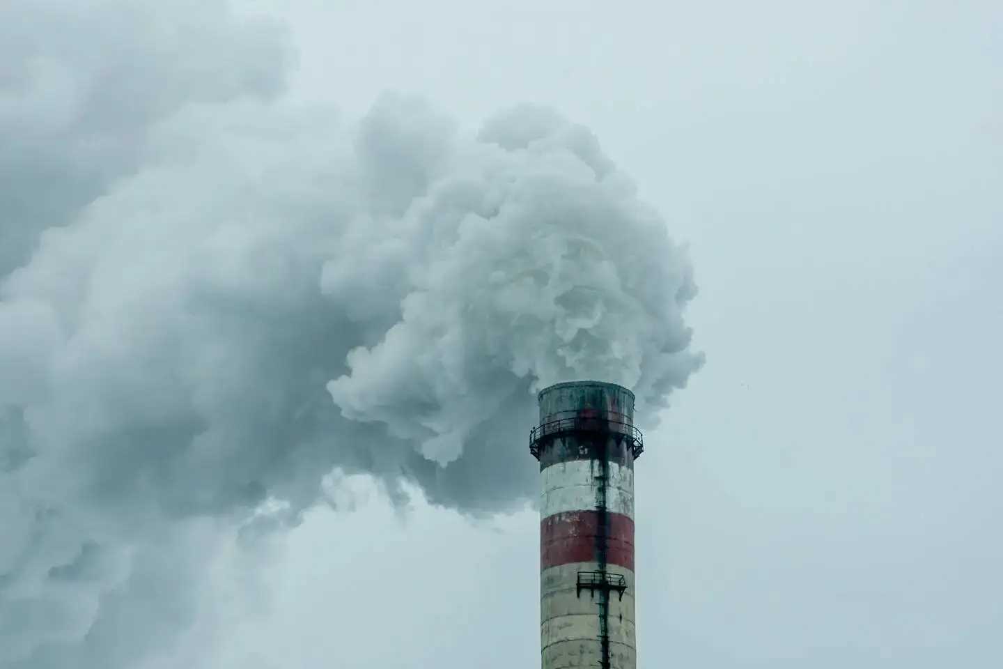 Усть-Каменогорск и ВКО / НМУ второй степени ожидаются в Усть-Каменогорске Усть-Каменогорск и ВКО / НМУ второй степени ожидаются в Усть-Каменогорске