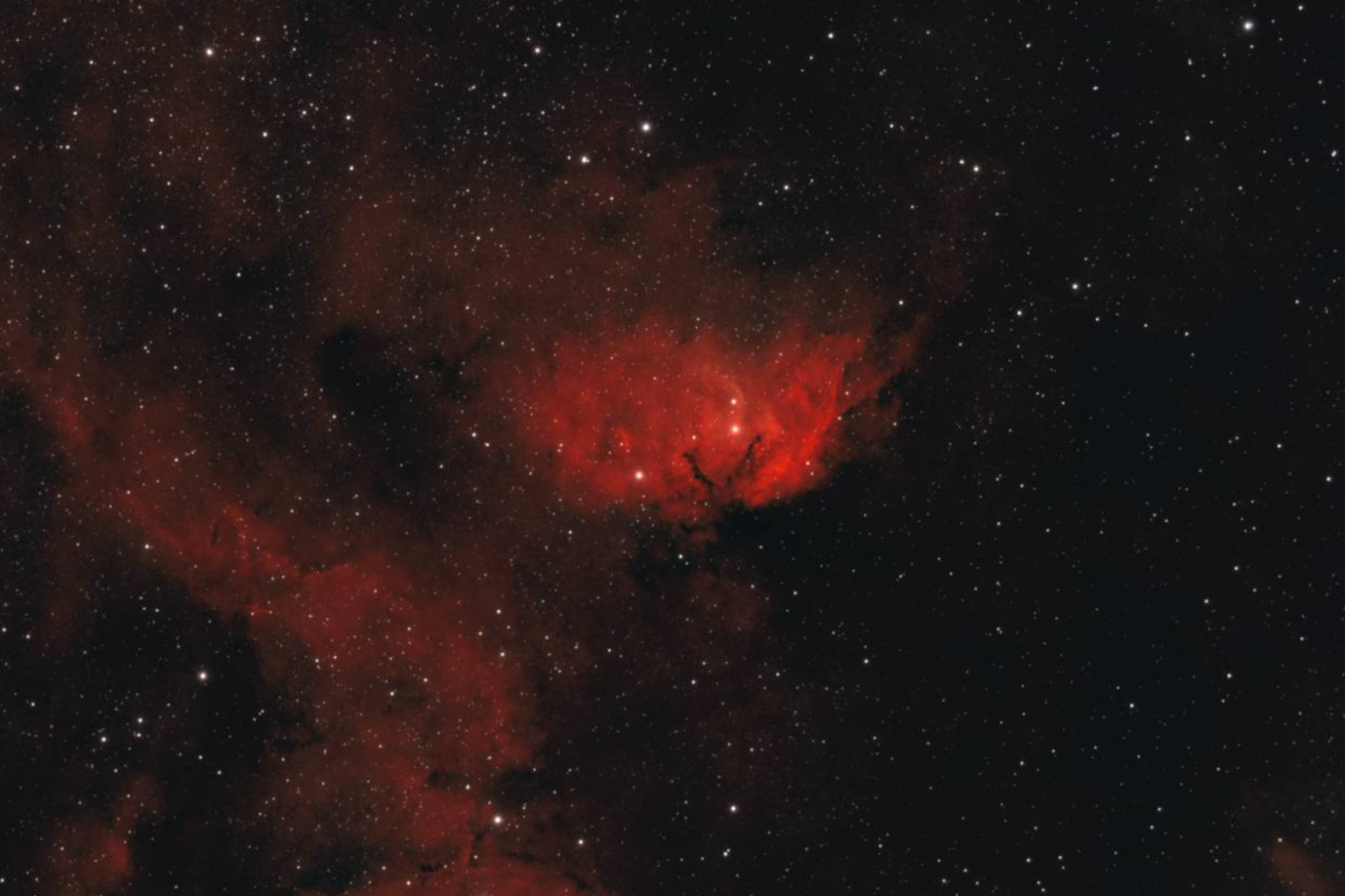 Новости мира / Интересные новости / Букет из космоса: астрофотограф поздравил женщин Земли с праздником