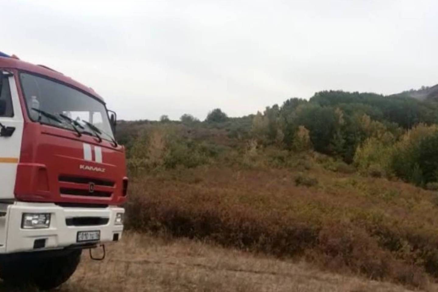 Усть-Каменогорск и ВКО / Пожары в трех лесных хозяйствах в ВКО не утихают
